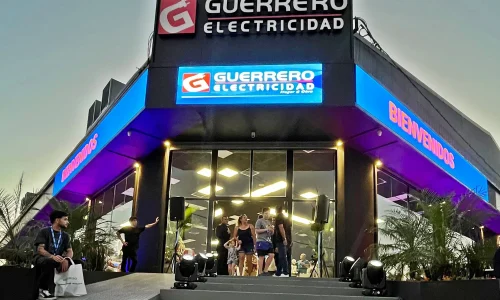 guerrero electricidad